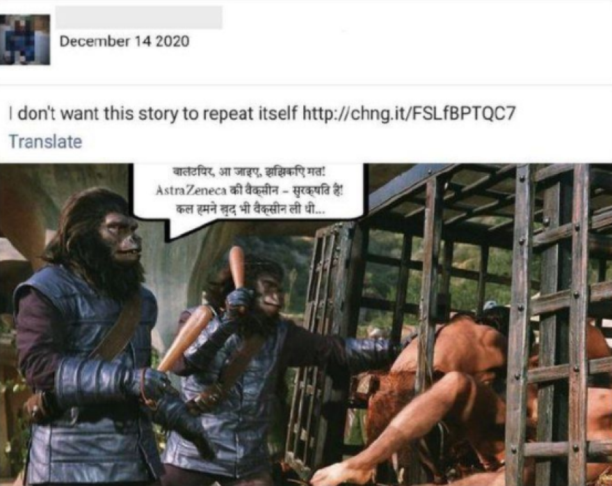 χιμπατζης