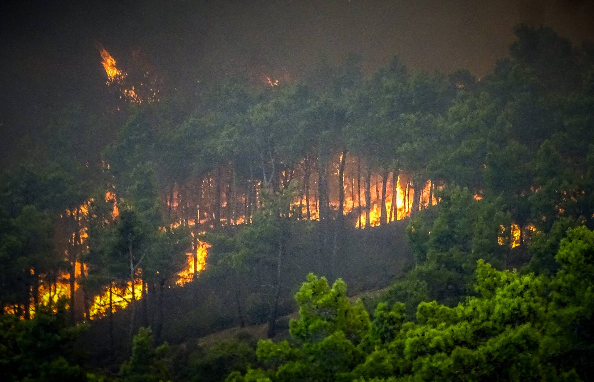 Οι μακροπρόθεσμες επιπτώσεις των δασικών πυρκαγιών στην υγεία, σωματική και ψυχική 3