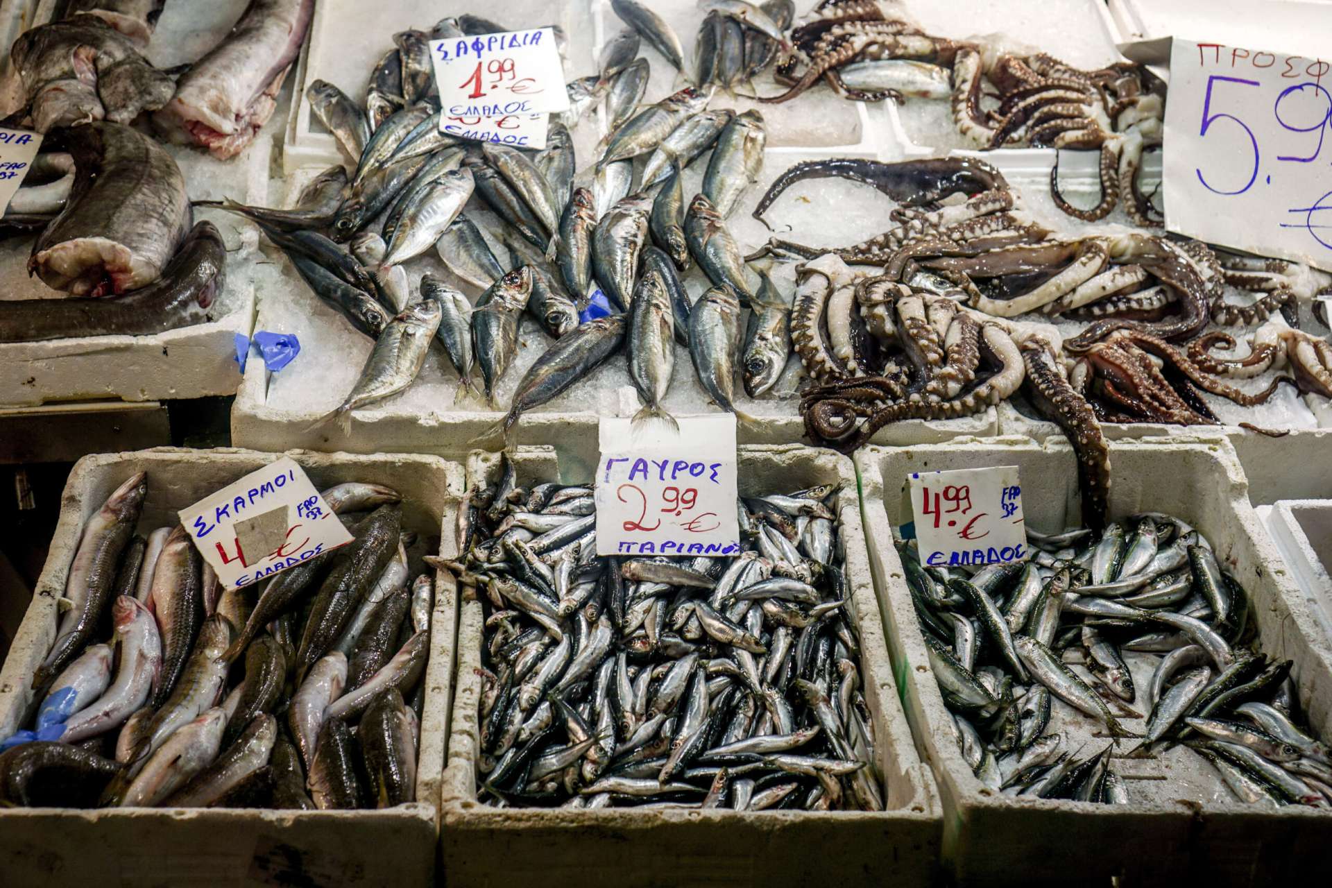 ΒΑΡΒΑΚΕΙΟΣ ΑΓΟΡΑ (ΓΙΩΡΓΟΣ ΚΟΝΤΑΡΙΝΗΣ / EUROKINISSI)