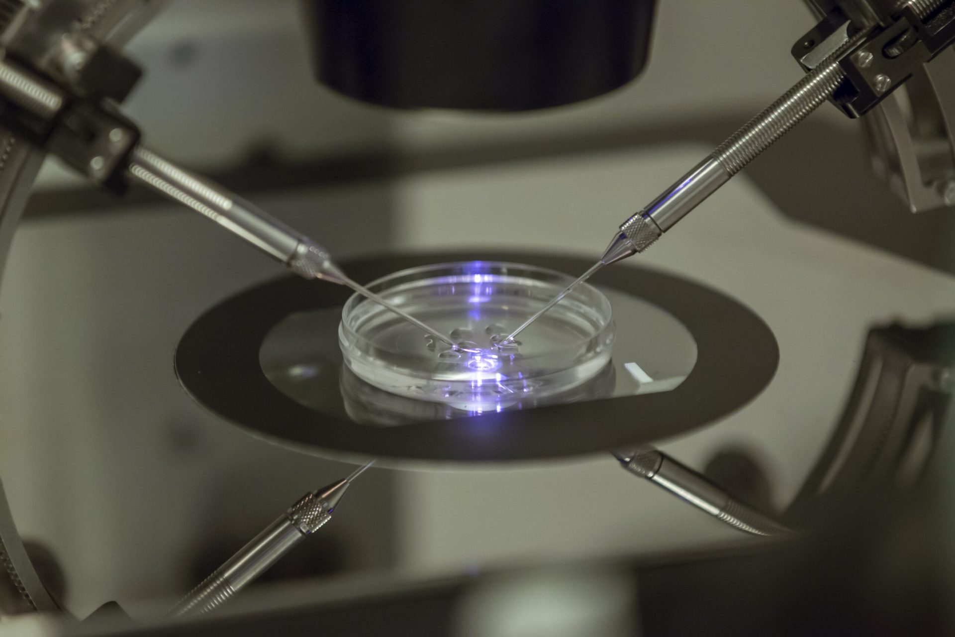 NerdWallet-Millennial-Money-Paying-for-IVF