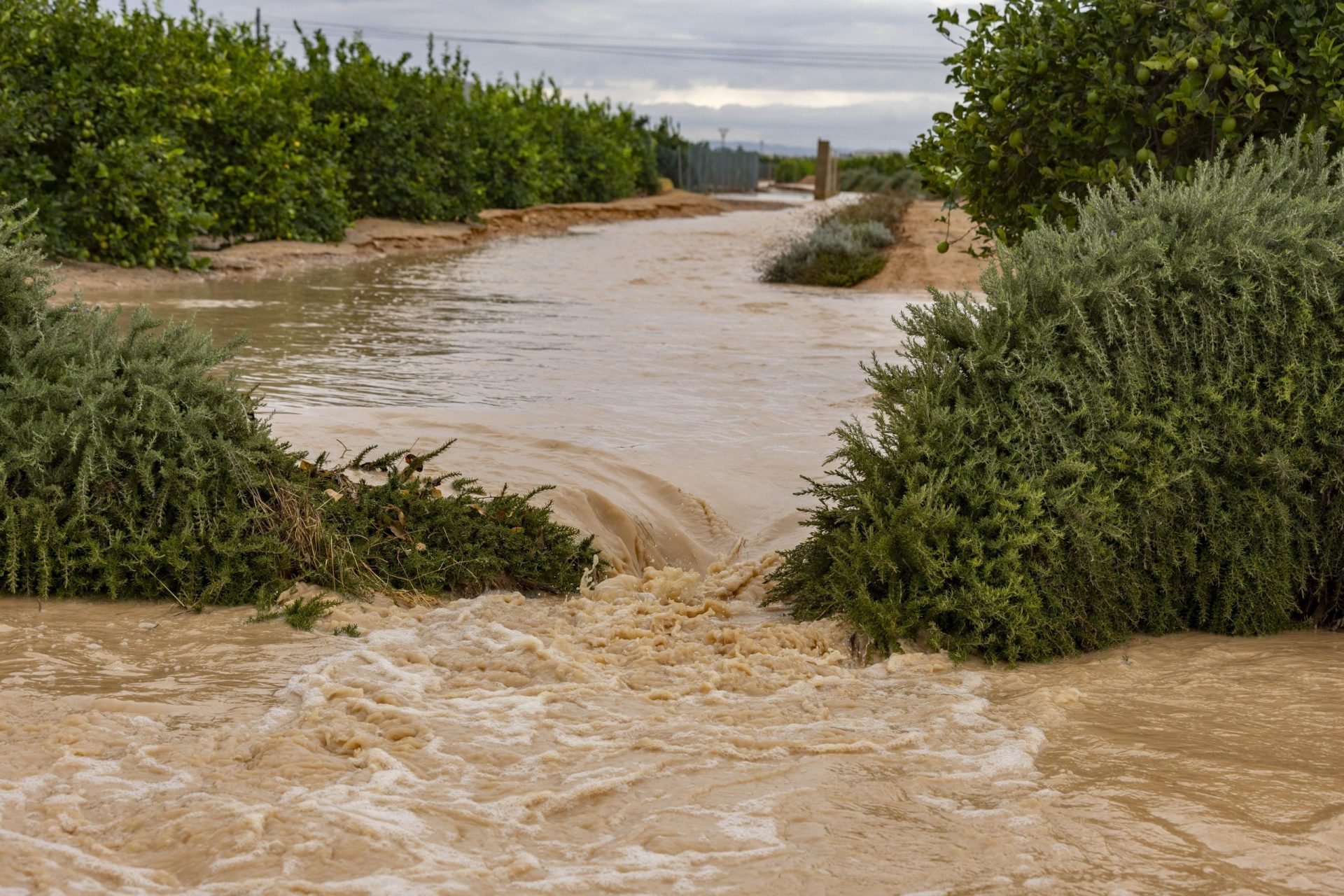 Storm system Alice triggers evacuations and flooding in eastern Spain