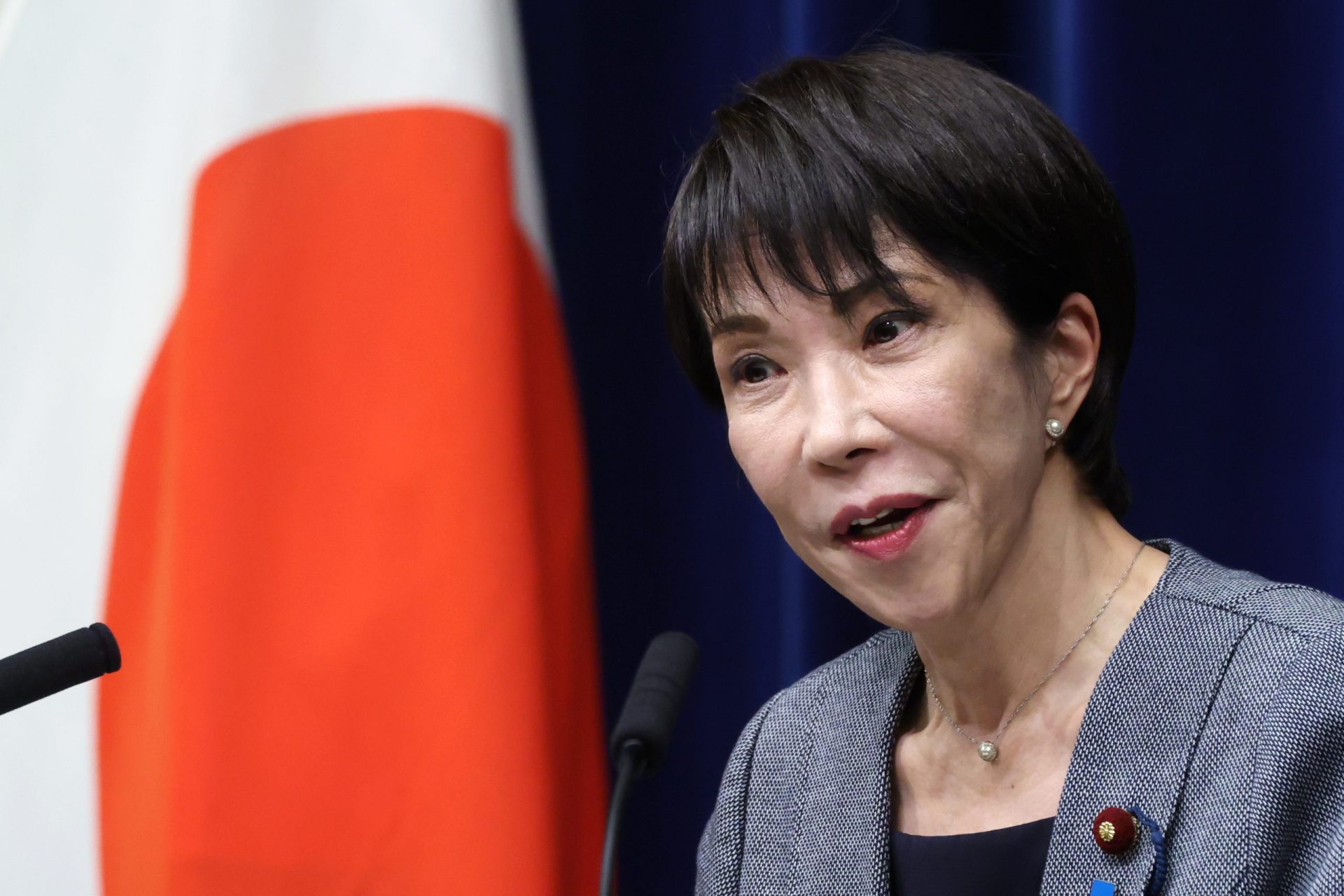 Japan Politics
